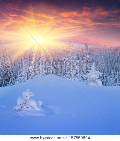 Colorful Winter Sunrise In Mountains.