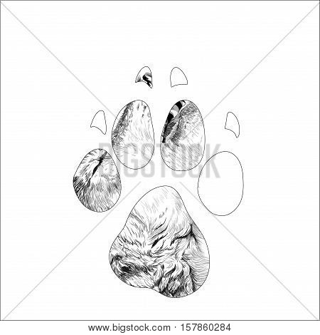 beautiful sketch silhouette animal trail. Vector illustration