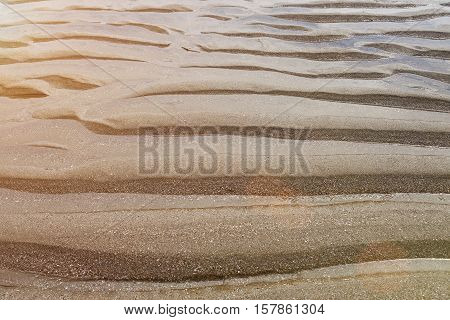 Tropical Sea Sand