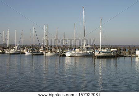 Boats are moored at the Bridgeton Marina on a sunny Sat. morning in November in Bridgeton North carolina