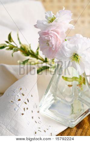 Flores de Apple