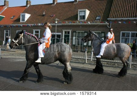 Anello a cavallo a Welcheren In Olanda