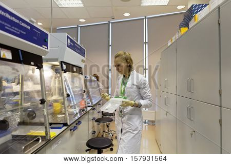 ST. PETERSBURG, RUSSIA - NOVEMBER 16, 2016: Researcher at work in the molecular genetics laboratory of the biotechnology company BIOCAD, the full-cycle drug development and manufacturing companies