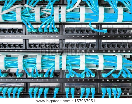 Server rack with blue internet patch cord cables connected to patch panel in server room
