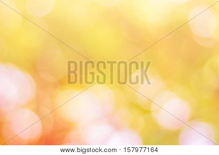 Blurred nature background.Backdrop with color and bright sun light. Summer holidays concept.bokeh background or Christmas background.Green Energy.Christmas Blurred.