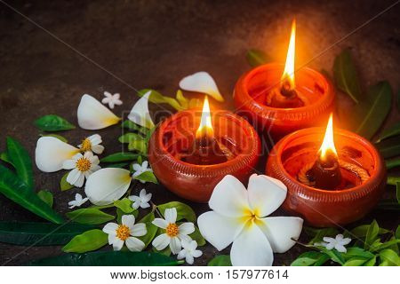 Candle light surrounding by dark nature and flower