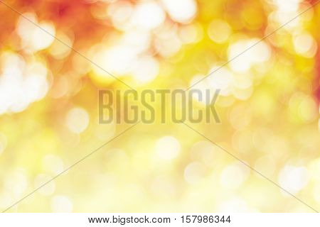 Blurred nature background.Backdrop with color and bright sun light. Summer holidays concept.bokeh background or Christmas background.Green Energy.Christmas Blurred.