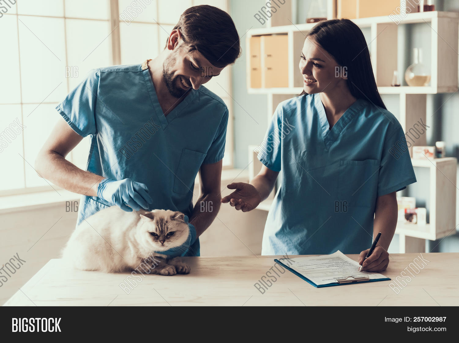 Male Doctor Image & Photo (Free Trial) Bigstock