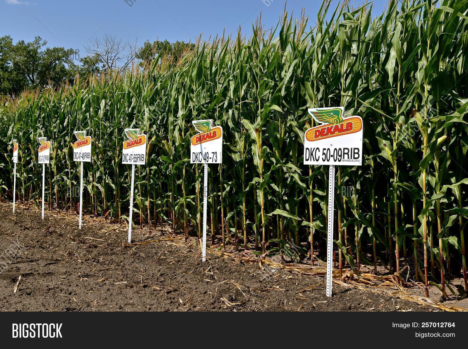 Leonard , North Dakota Image & Photo (Free Trial) Bigstock