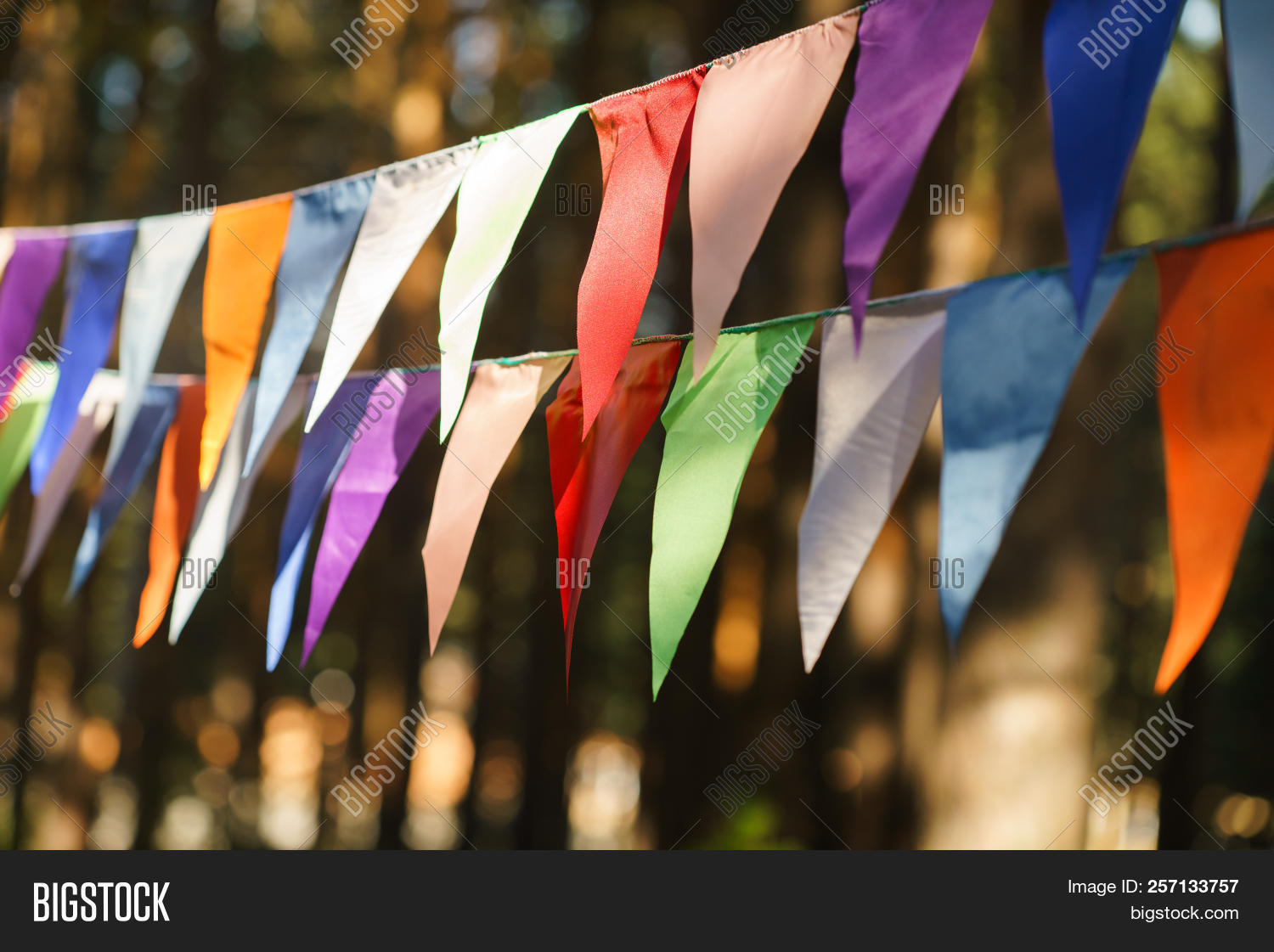 Carnival Garland Flags Image & Photo (Free Trial) Bigstock