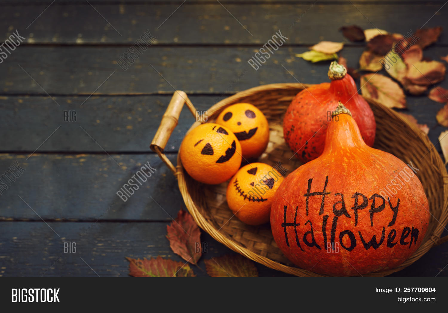 Download high-quality set Halloween pumpkin inscription painted images, ill...