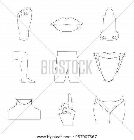 Vector Design Of Human And Part Sign. Set Of Human And Woman Vector Icon For Stock.