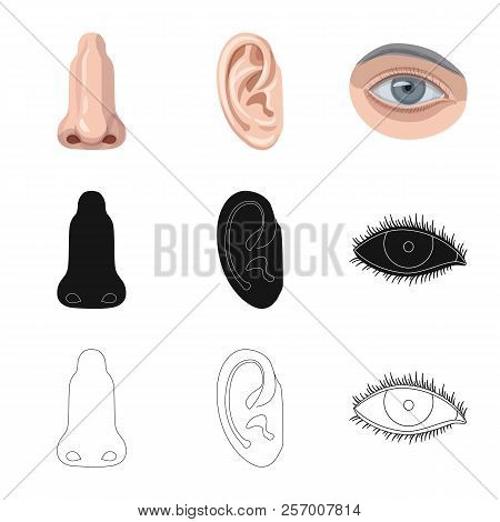 Vector Illustration Of Human And Part Logo. Collection Of Human And Woman Stock Vector Illustration.