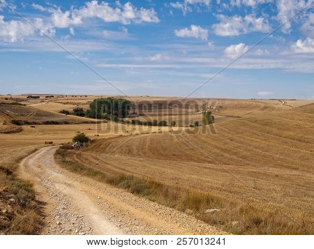 Curving Dirt Road Through The Meseta - Hornillos Del Camino, Castile And Leon, Spain