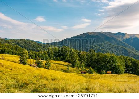 Countryside In Mountains. Beautiful Landscape With Grassy Alpine Hills. Abandoned Woodshed And Hay B