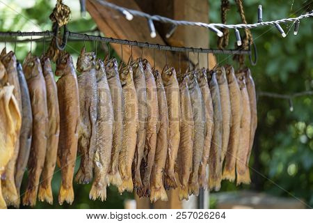 Some Fisches Of Smoked Trout Hanging On A Rope In Restaurant , Outside