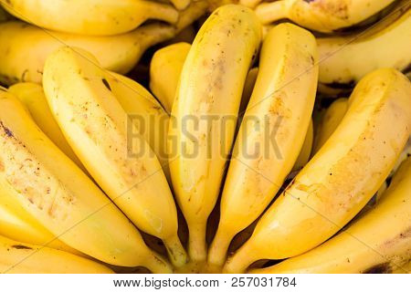 Bunch Of Rip Fresh Yellow Bananas Background