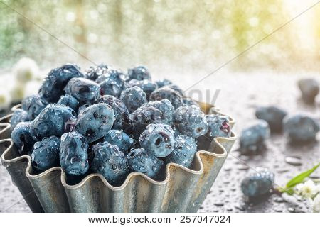 Summer Honeysuckle Berries In Metal Forms For Baking