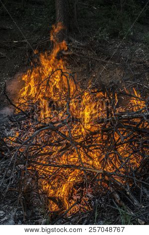 Dark Background Bonfire From Branches. Flame And Sparks