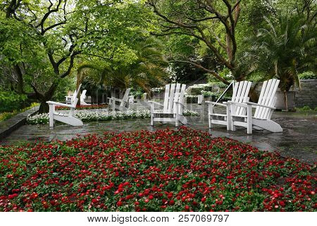 The City Park In Hamburg In Rainy Weather. A Quiet Place In Tropical Botanical Garden For Relaxation