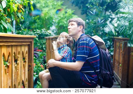 Father And Preschool Kid Boy Discovering Flowers, Plants And Butterflies At Botanic Garden. Family, 