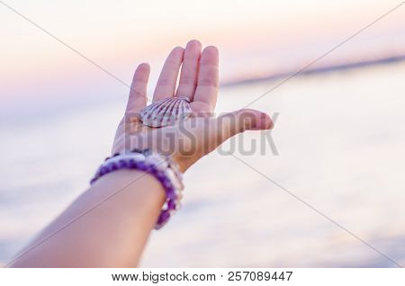 Sea Shell On Hand Against The Background Of The Sea, Relaxation, Peace And Pleasant Mention Of The S