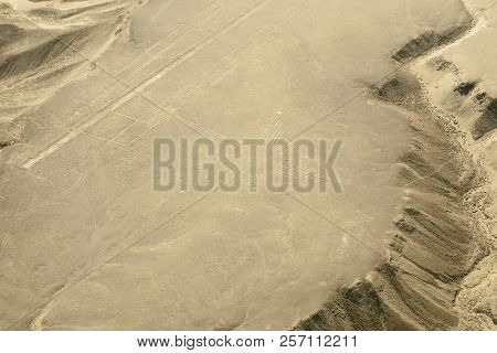 The Hummingbird - Nasca Lines - Peru