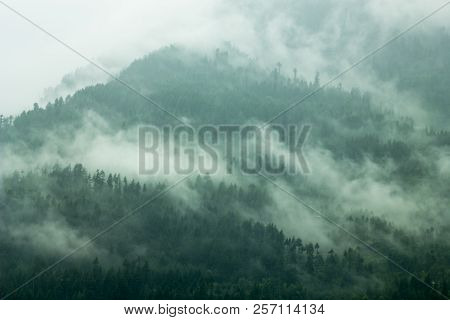 A Forest On A Mountain In A Strong Fog