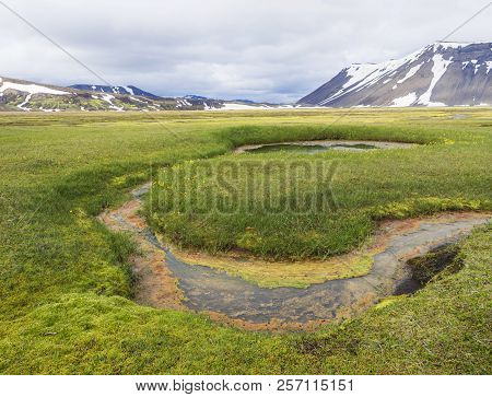 Summer Landscape With Colorful Green And Orange Moss Meadow With Hot Springs And Snow Covered Rhyoli