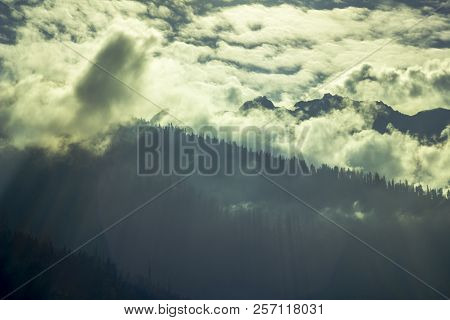 Evening Shadow Of Trees In The Silhouette Of Mountains