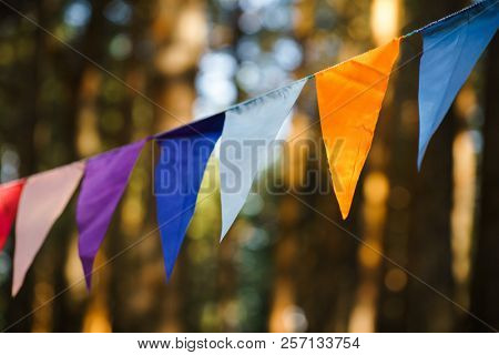 Carnival Garland with Flags, Decorative Party Pennants for Birthday Celebration, Festival and Fair Decoration, Hanging Flags, Bunting Flags ,Triangle Fabrics Hanging on the Rope, Bunting Background 