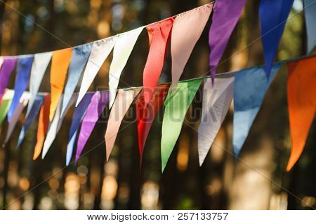 Carnival Garland with Flags, Decorative Party Pennants for Birthday Celebration, Festival and Fair Decoration, Hanging Flags, Bunting Flags ,Triangle Fabrics Hanging on the Rope, Bunting Background 