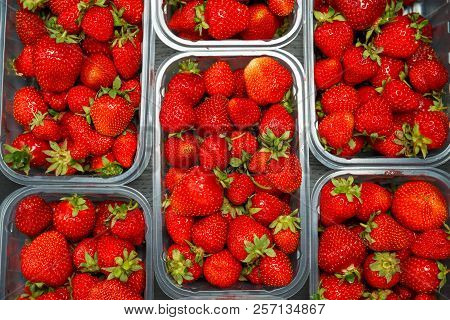 Close Up Of Fresh Red Ripe Strawberries In Transparent Plastic Container Boxes On Retail Market Disp