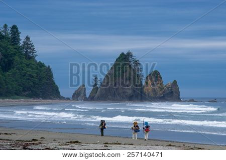 Shi Shi Beach And Point Of The Arches, Olympic National Park, Washington