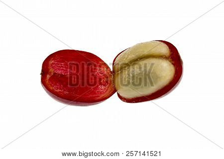 View Of A Fresh Coffee Cherry Fruit Anatomy With The Outer Section Composed By The Skin And Pulp, In