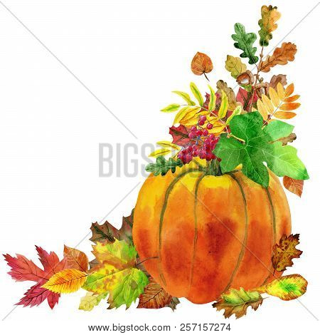 Fall Leaves With Pumpkin On White Background, Fall Harvest