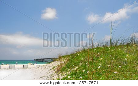 ดอกไม้ครอบคลุมโขด โดยท่าเรือกับ beachgoers ในระยะ