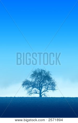 Blue Lonely Tree
