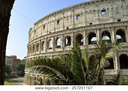 Rome, Italy - September 11, 2016  The Historical Roman Colosseum Amphitheatre In Rome