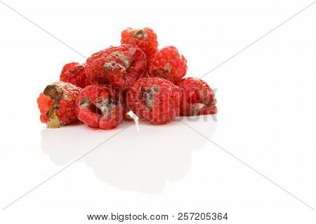 Rotten Raspberries With Mold Isolated On White Background. Uneatable Unhealthy Fruit.