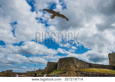 Tynemouth, England - August 2, 2018: Gull Flies Above People By The Ruins Of The Medieval Tynemouth 