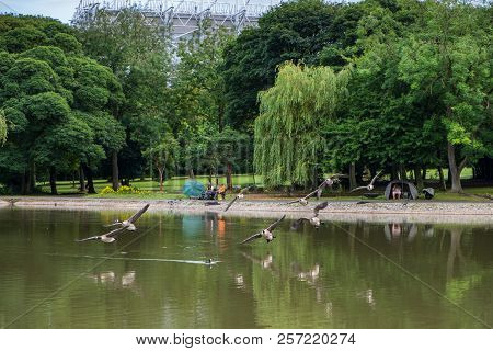 Newcastle, England - August 3, 2018: Beautiful Scene Of Geese Flying In Formation Over The Pond At L