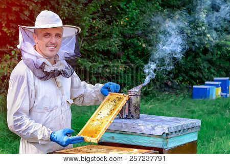 Beekeeper Is Working With Bees And Beehives On The Apiary. Apiculture Concept.