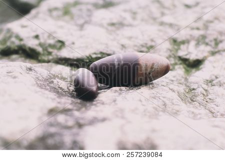 Two Shiva Lingam On A Rock Outside In Nature.