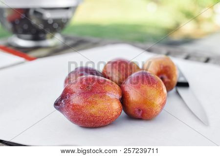 Five Amigo Pluot Fruits On White Paper With A Knife