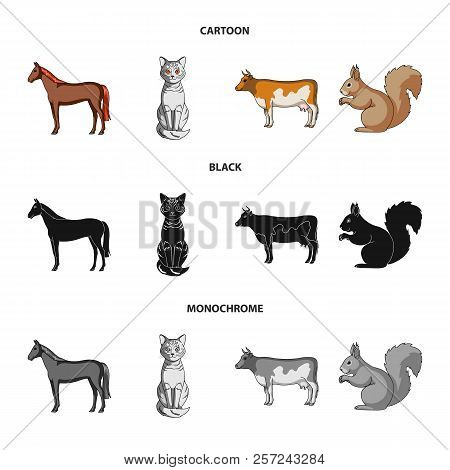 Horse, Cow, Cat, Squirrel And Other Kinds Of Animals.animals Set Collection Icons In Cartoon, Black,