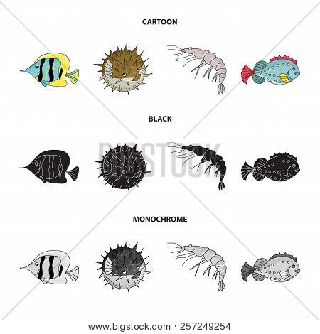 Shrimp, Fish, Hedgehog And Other Species.sea Animals Set Collection Icons In Cartoon, Black, Monochr