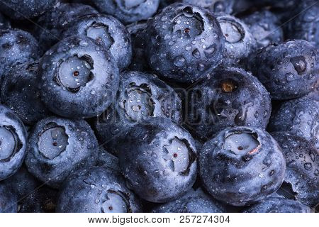 Fresh Ripe Blueberries With Drops Of Dew. Berry Background. Macro Photo.