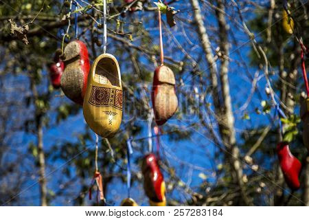 Traditional Shoes Wooden Dutch