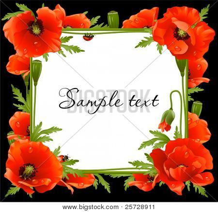 Quadro Floral papoula